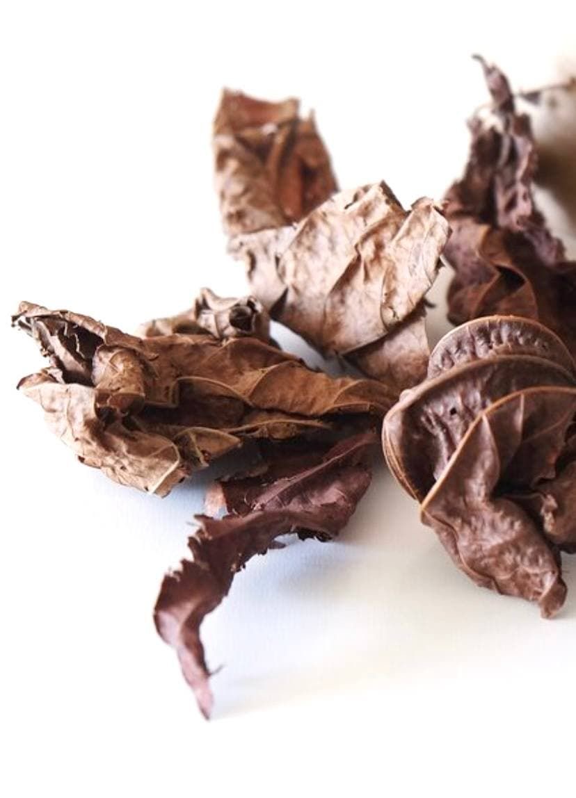 Thé djéka énergisant – Image 2